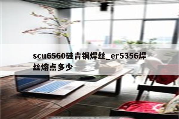 scu6560硅青铜焊丝_er5356焊丝熔点多少