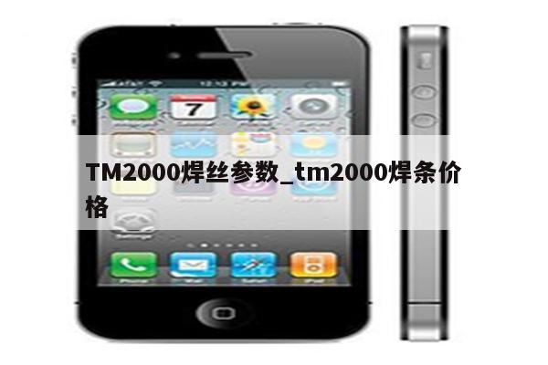 TM2000焊丝参数_tm2000焊条价格