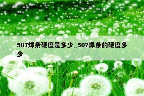 507焊条硬度是多少_507焊条的硬度多少