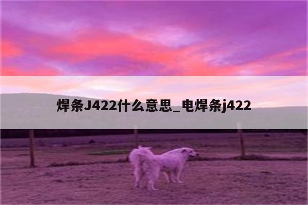 焊条J422什么意思_电焊条j422