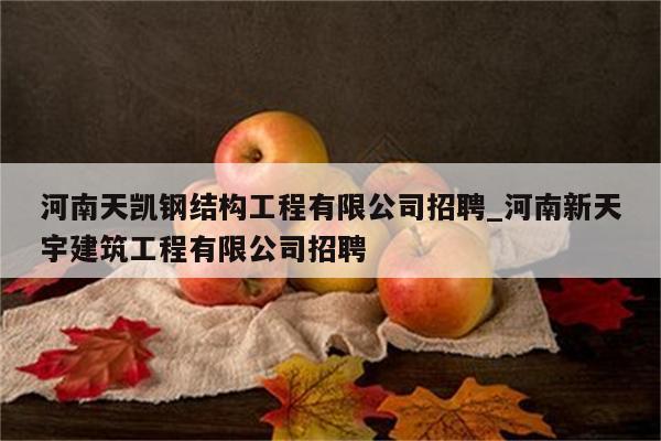 河南天凯钢结构工程有限公司招聘_河南新天宇建筑工程有限公司招聘