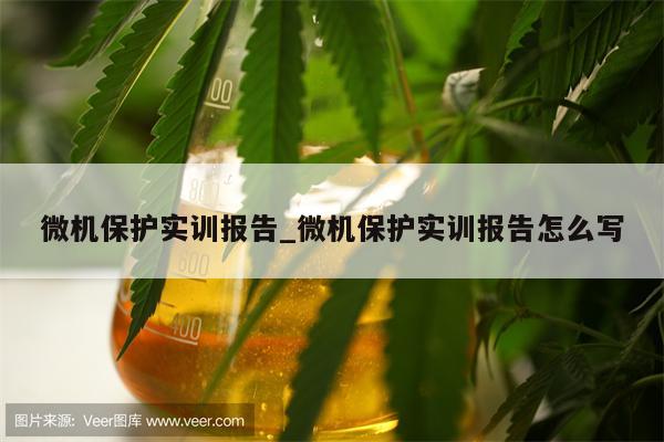 微机保护实训报告_微机保护实训报告怎么写