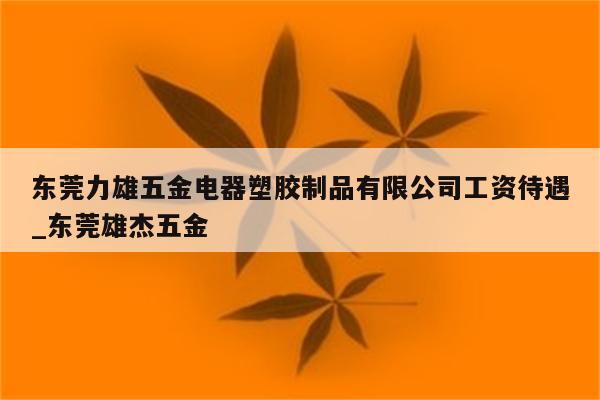 东莞力雄五金电器塑胶制品有限公司工资待遇_东莞雄杰五金