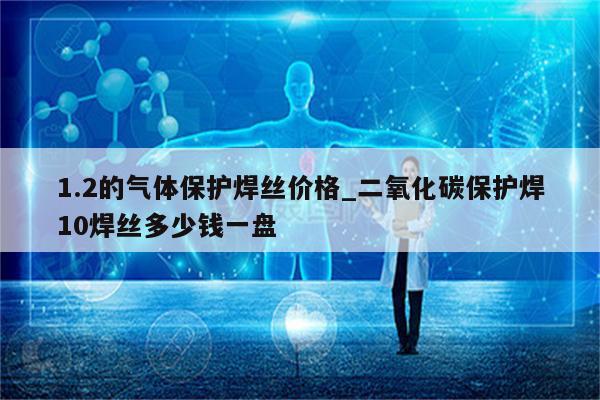 1.2的气体保护焊丝价格_二氧化碳保护焊10焊丝多少钱一盘