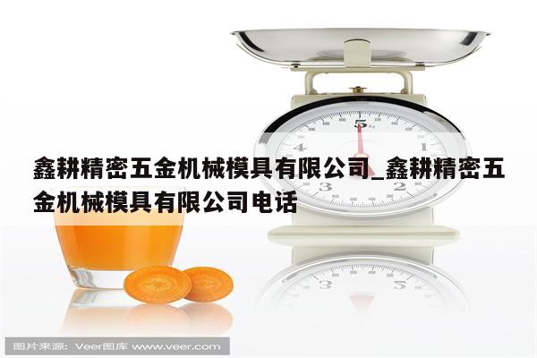 鑫耕精密五金机械模具有限公司_鑫耕精密五金机械模具有限公司电话