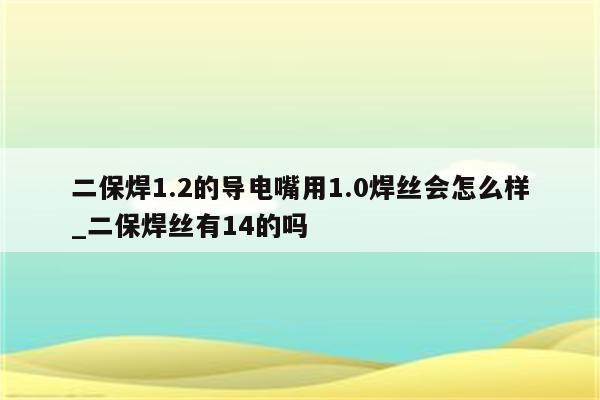 二保焊1.2的导电嘴用1.0焊丝会怎么样_二保焊丝有14的吗