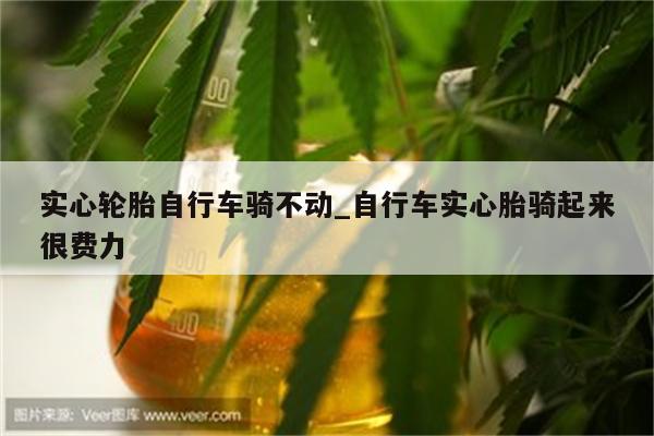 实心轮胎自行车骑不动_自行车实心胎骑起来很费力