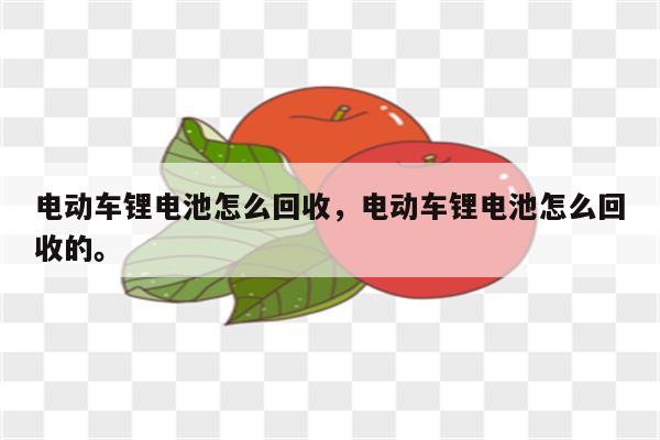 电动车锂电池怎么回收，电动车锂电池怎么回收的。