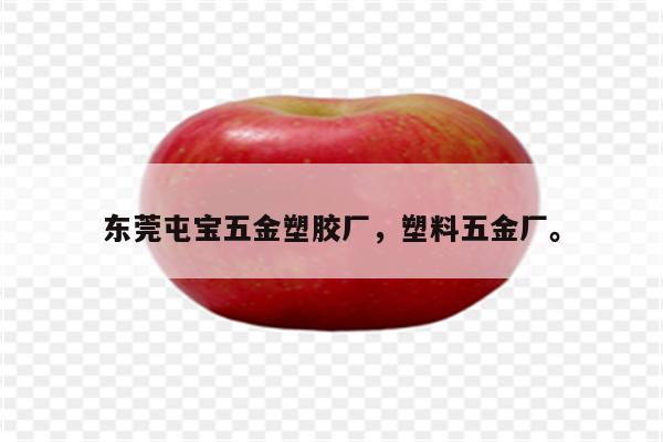 东莞屯宝五金塑胶厂，塑料五金厂。