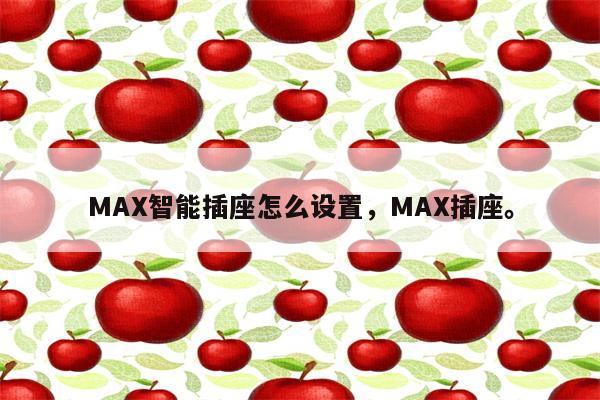 MAX智能插座怎么设置，MAX插座。