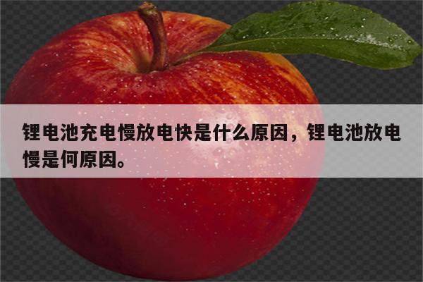 锂电池充电慢放电快是什么原因，锂电池放电慢是何原因。