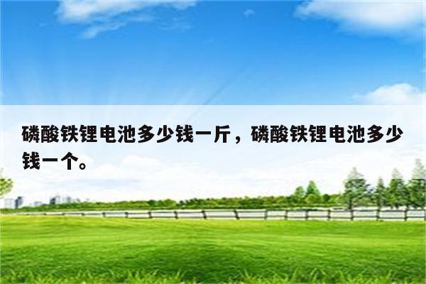 磷酸铁锂电池多少钱一斤，磷酸铁锂电池多少钱一个。