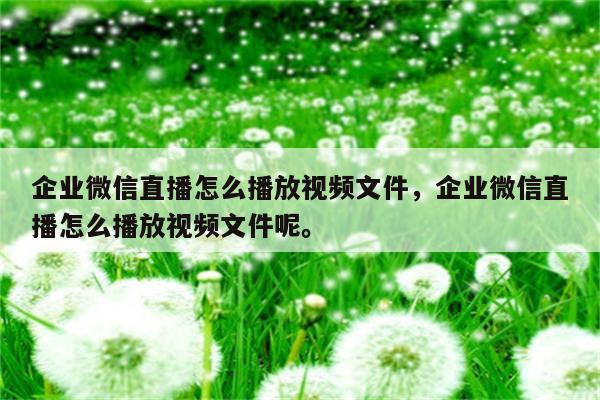 企业微信直播怎么播放视频文件，企业微信直播怎么播放视频文件呢。