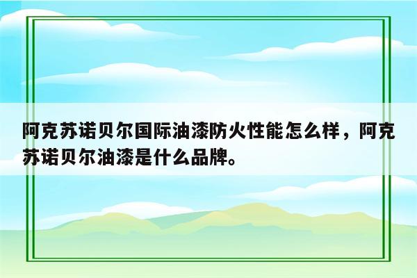 阿克苏诺贝尔国际油漆防火性能怎么样，阿克苏诺贝尔油漆是什么品牌。