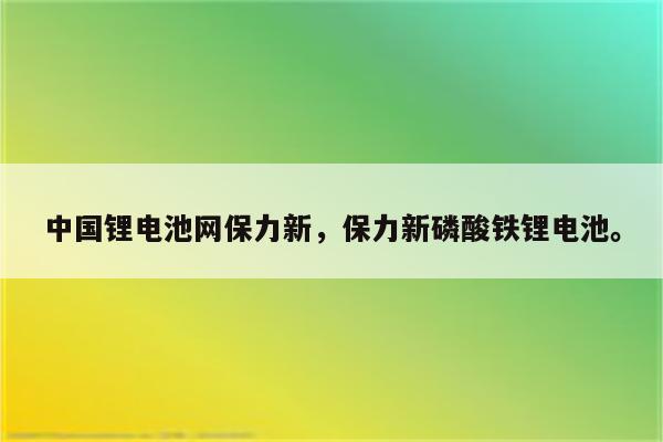 中国锂电池网保力新，保力新磷酸铁锂电池。