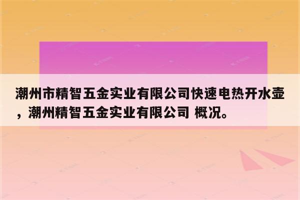 潮州市精智五金实业有限公司快速电热开水壶，潮州精智五金实业有限公司 概况。