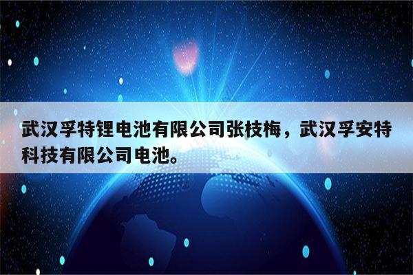 武汉孚特锂电池有限公司张枝梅，武汉孚安特科技有限公司电池。