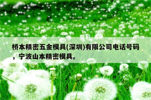 桥本精密五金模具(深圳)有限公司电话号码，宁波山本精密模具。