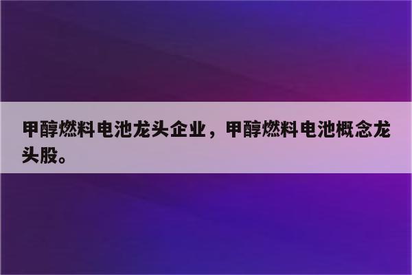 甲醇燃料电池龙头企业，甲醇燃料电池概念龙头股。