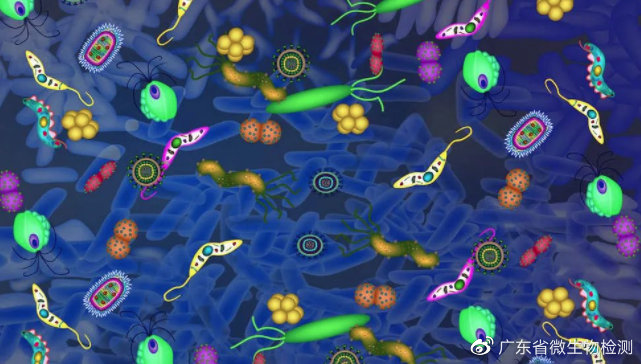 微生物的概念、种类及其相关知识