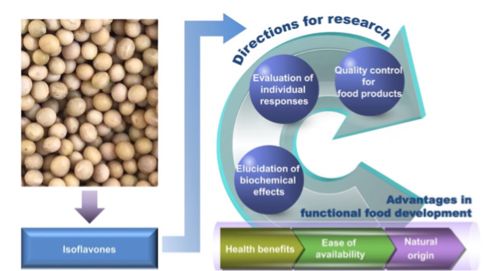 大豆异黄酮在食品研发中的生化活性与用途（20190819周一）