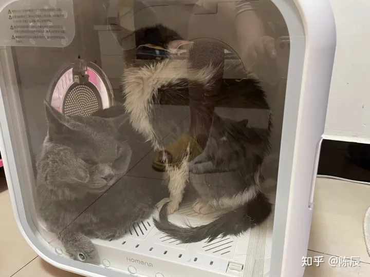 猫咪烘干箱如何使用？