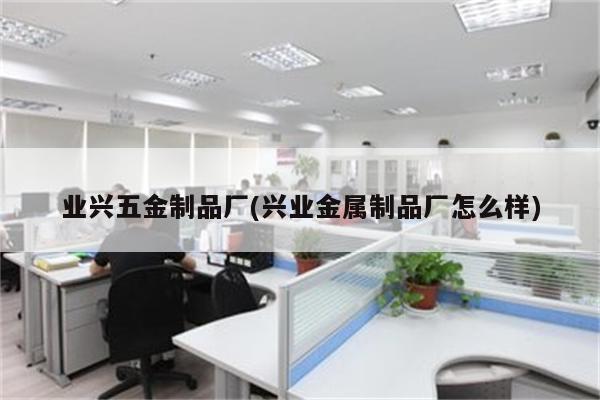 业兴五金制品厂(兴业金属制品厂怎么样)