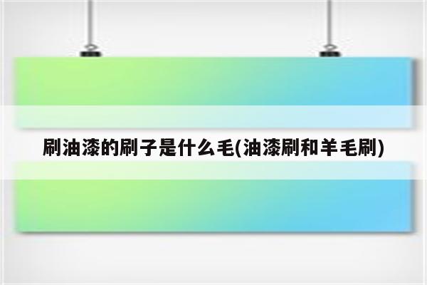 刷油漆的刷子是什么毛(油漆刷和羊毛刷)