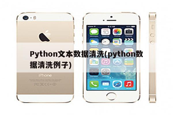 Python文本数据清洗(python数据清洗例子)