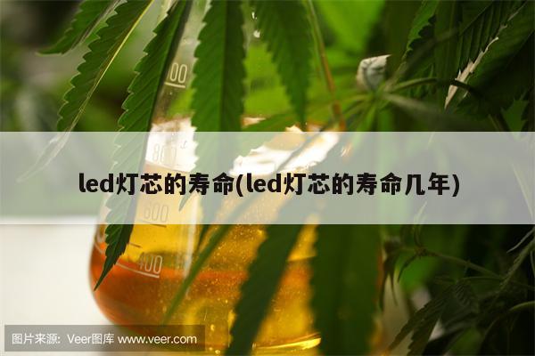 led灯芯的寿命(led灯芯的寿命几年)