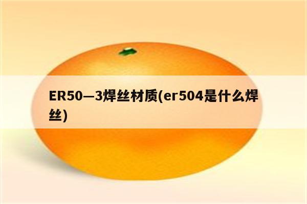 ER50—3焊丝材质(er504是什么焊丝)