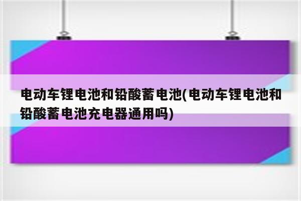 电动车锂电池和铅酸蓄电池(电动车锂电池和铅酸蓄电池充电器通用吗)