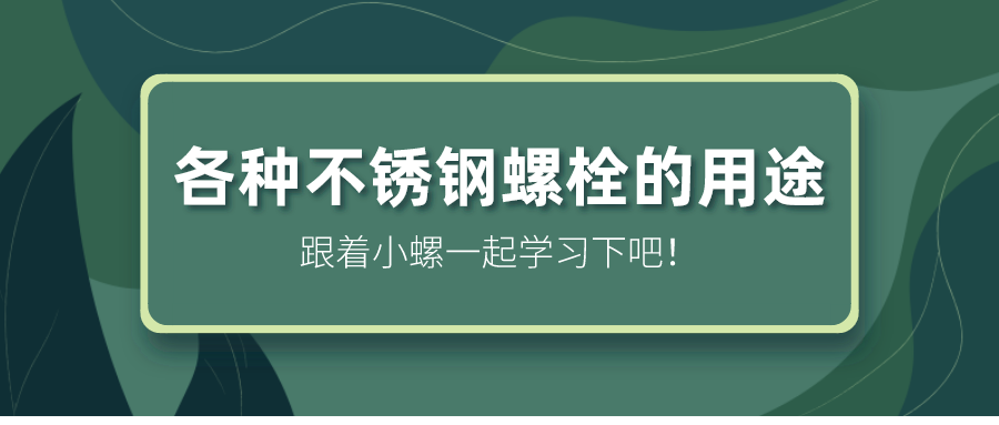 各种不锈钢螺栓的用途