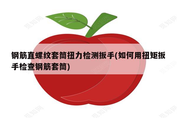 钢筋直螺纹套筒扭力检测扳手(如何用扭矩扳手检查钢筋套筒)