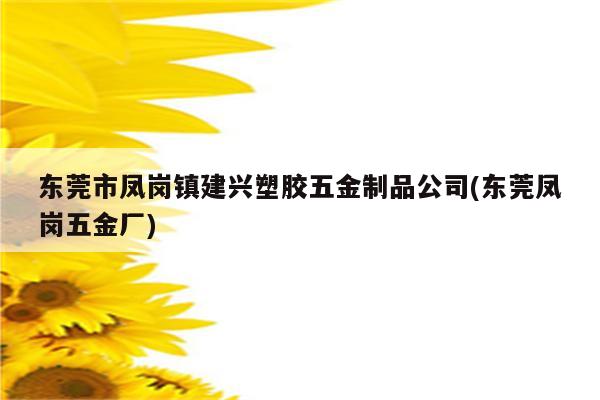 东莞市凤岗镇建兴塑胶五金制品公司(东莞凤岗五金厂)