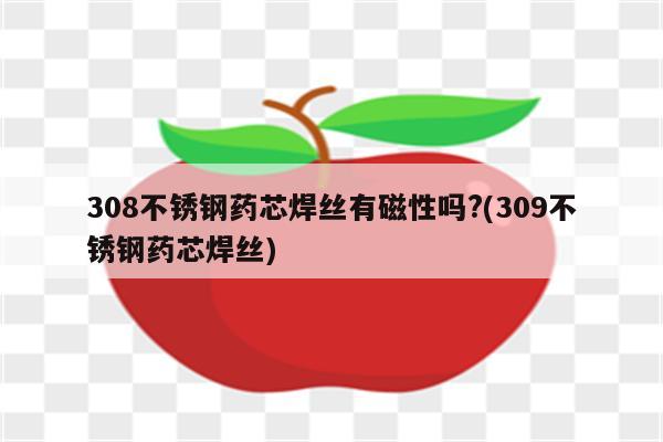 308不锈钢药芯焊丝有磁性吗?(309不锈钢药芯焊丝)