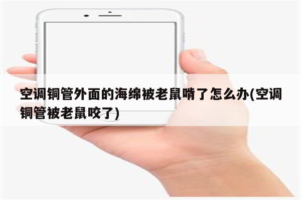 空调铜管外面的海绵被老鼠啃了怎么办(空调铜管被老鼠咬了)