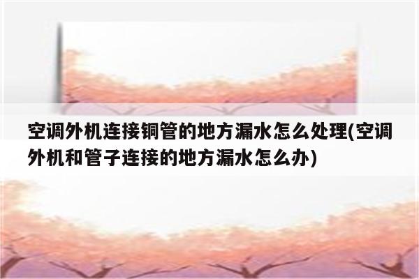 空调外机连接铜管的地方漏水怎么处理(空调外机和管子连接的地方漏水怎么办)