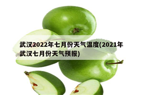 武汉2022年七月份天气温度(2021年武汉七月份天气预报)