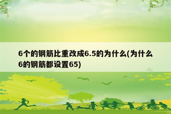 6个的钢筋比重改成6.5的为什么(为什么6的钢筋都设置65)