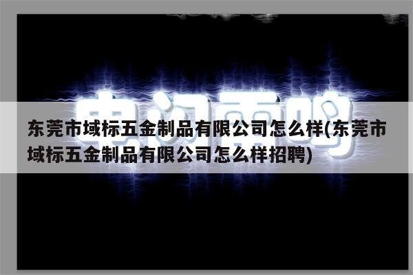 东莞市域标五金制品有限公司怎么样(东莞市域标五金制品有限公司怎么样招聘)