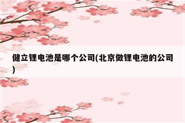 健立锂电池是哪个公司(北京做锂电池的公司)