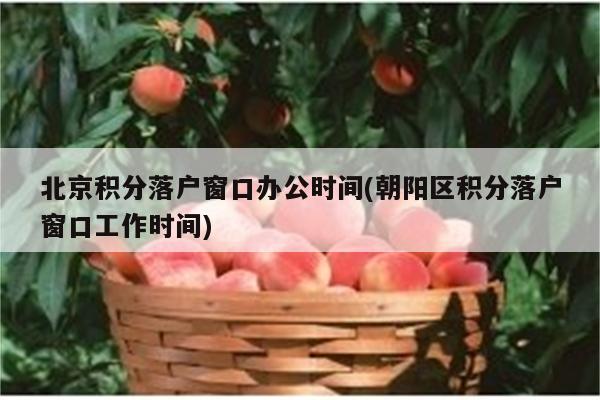 北京积分落户窗口办公时间(朝阳区积分落户窗口工作时间)