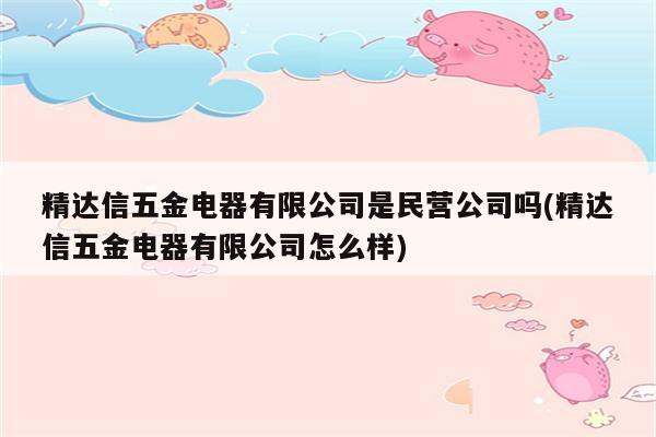 精达信五金电器有限公司是民营公司吗(精达信五金电器有限公司怎么样)