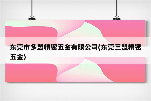 东莞市多盟精密五金有限公司(东莞三盟精密五金)