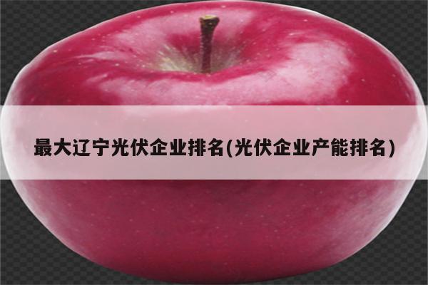 最大辽宁光伏企业排名(光伏企业产能排名)