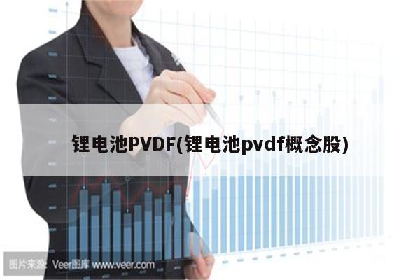 锂电池PVDF(锂电池pvdf概念股)