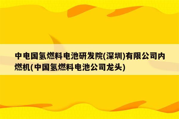 中电国氢燃料电池研发院(深圳)有限公司内燃机(中国氢燃料电池公司龙头)