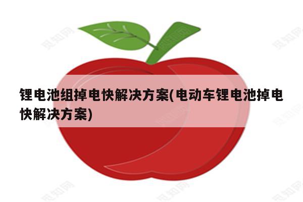 锂电池组掉电快解决方案(电动车锂电池掉电快解决方案)