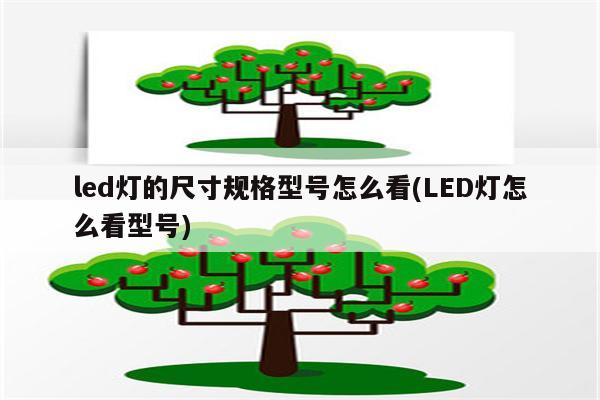 led灯的尺寸规格型号怎么看(LED灯怎么看型号)